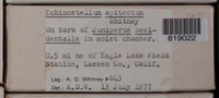 Image Associated With the Occurence